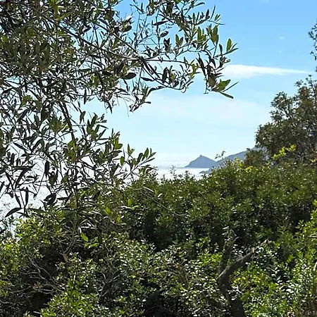 La Roche Aux Mouettes Ile Du Levant